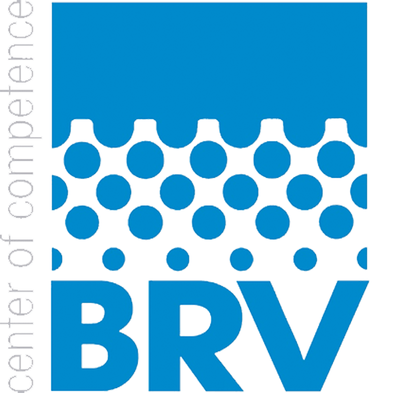 Logo BRV